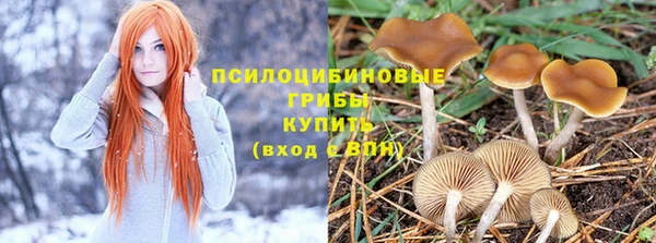 стафф Зеленодольск