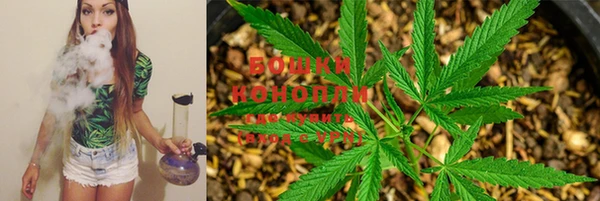 стафф Зеленодольск