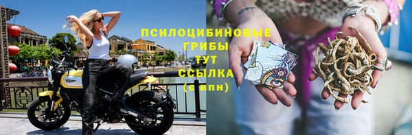 стафф Зеленодольск