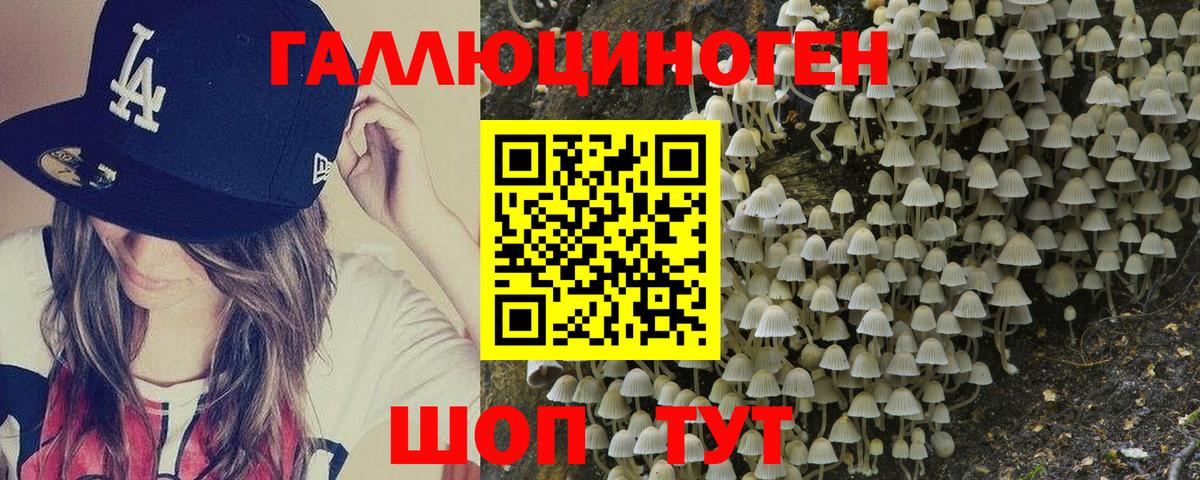 Лабытнанги  Галлюциногенные грибы Psilocybe  Вход с VPN 