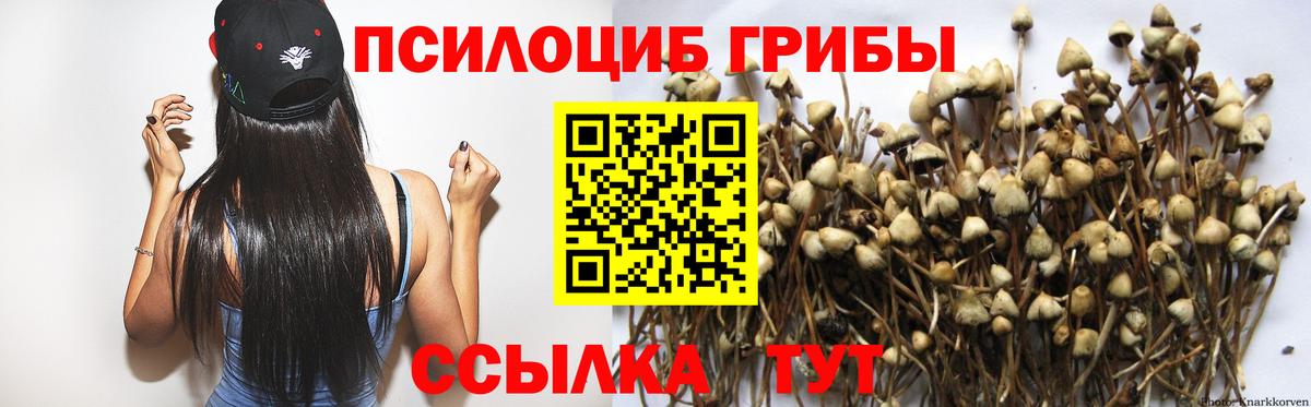 Галлюциногенные грибы Cubensis Лабытнанги
